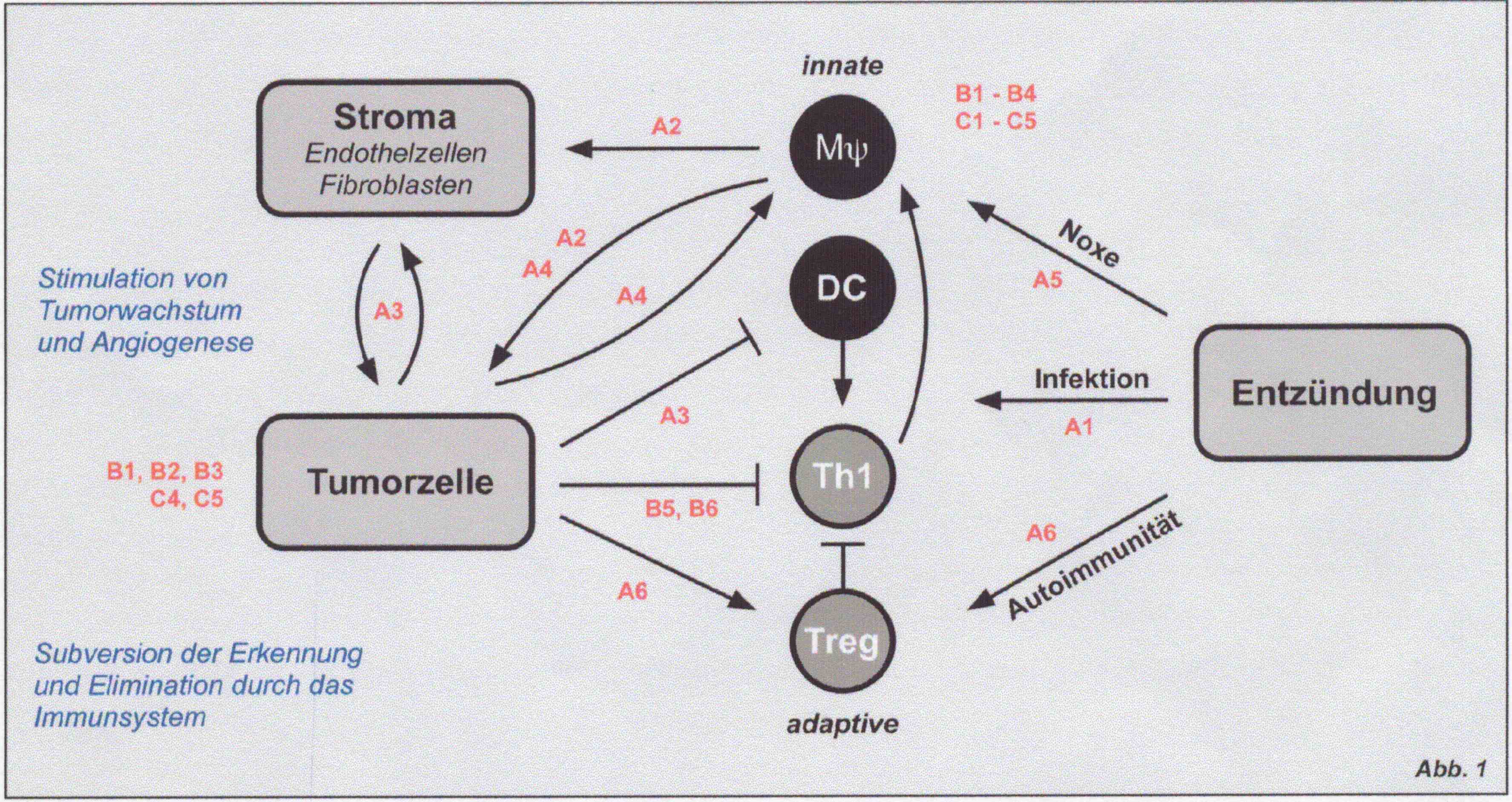 Fig1