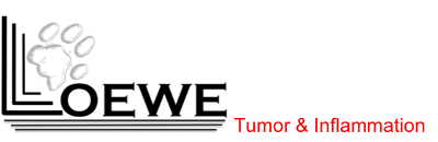 Logo LOEWE Tumor und Inflammation